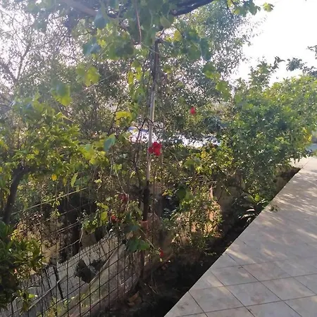 Bodrum Tuerkiye Villa